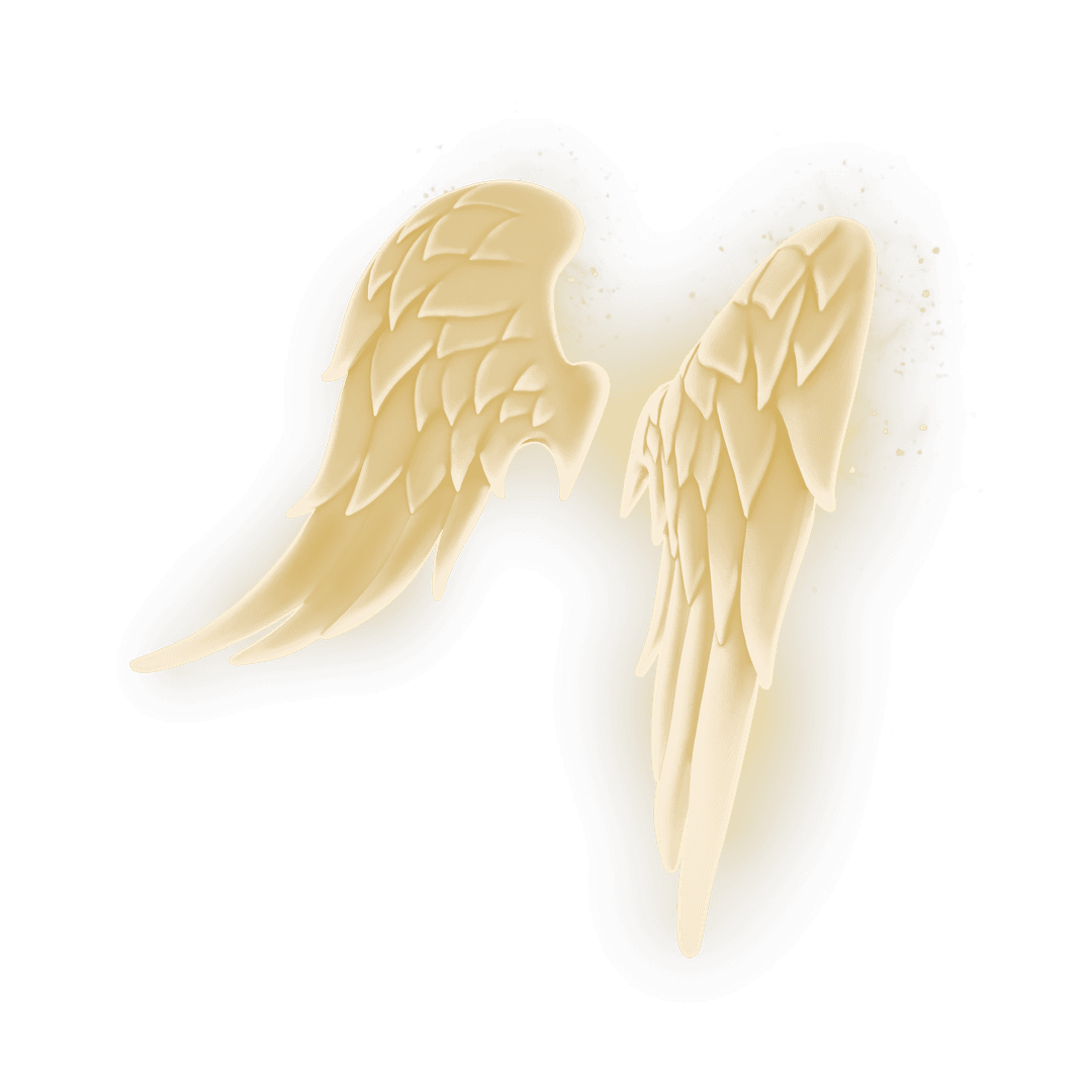 Imagen de Alas de luz