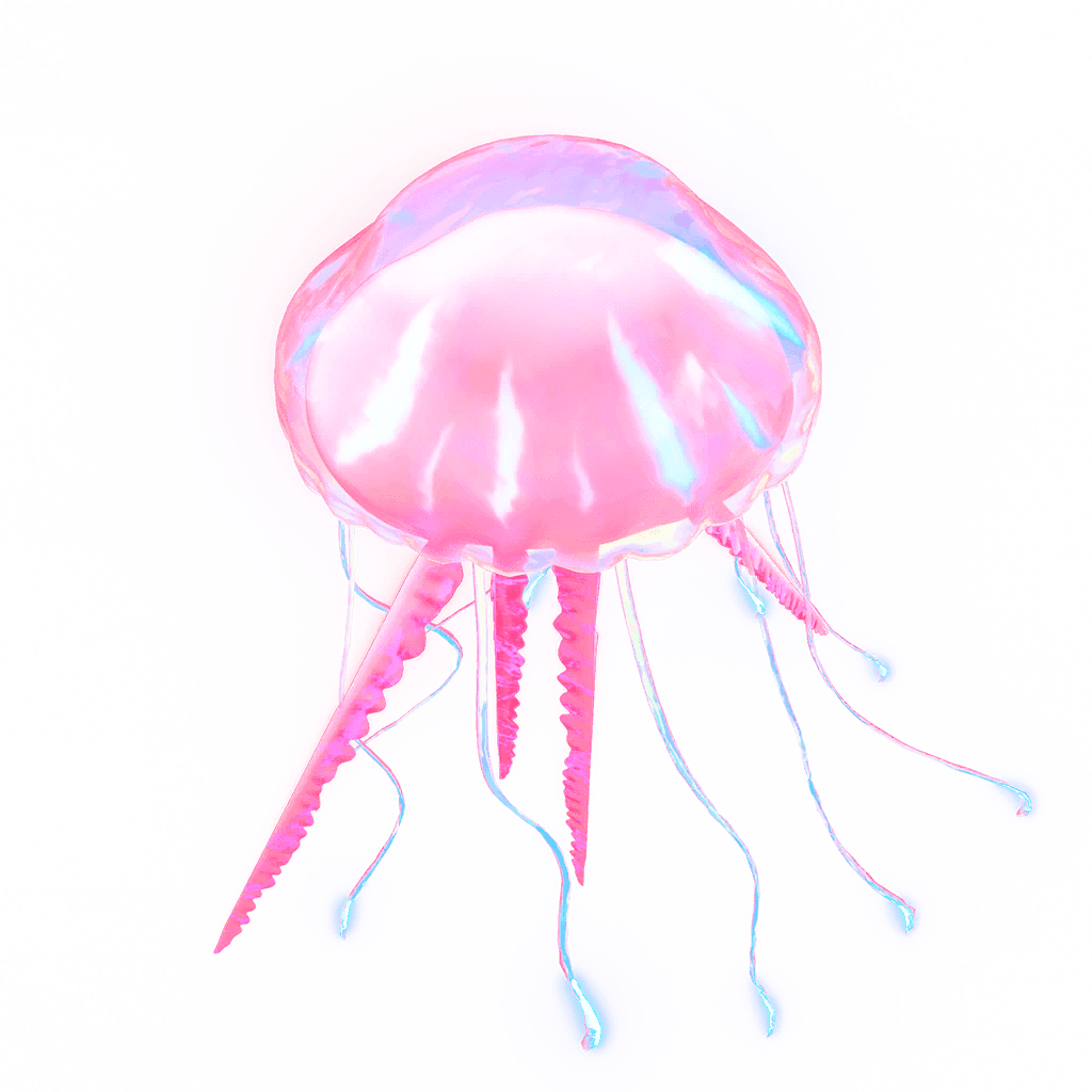 Imagen de Falsa medusa