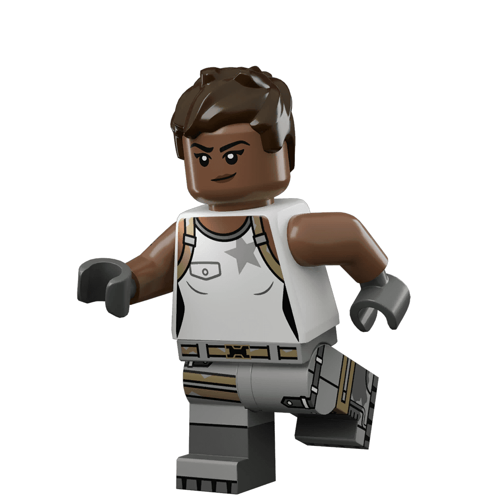 Imagen de Experta en reconocimiento