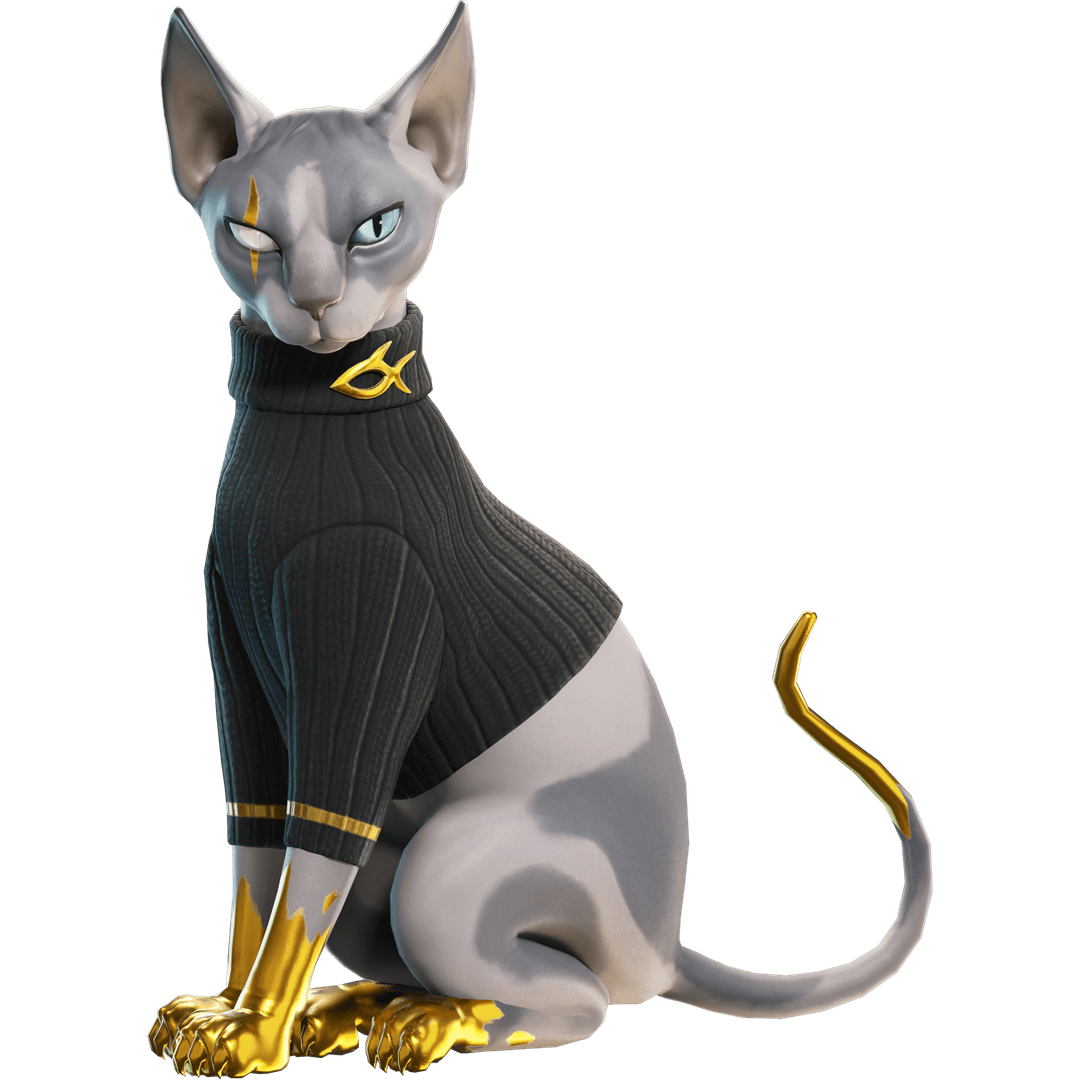 Imagen de Gato de Miaudas