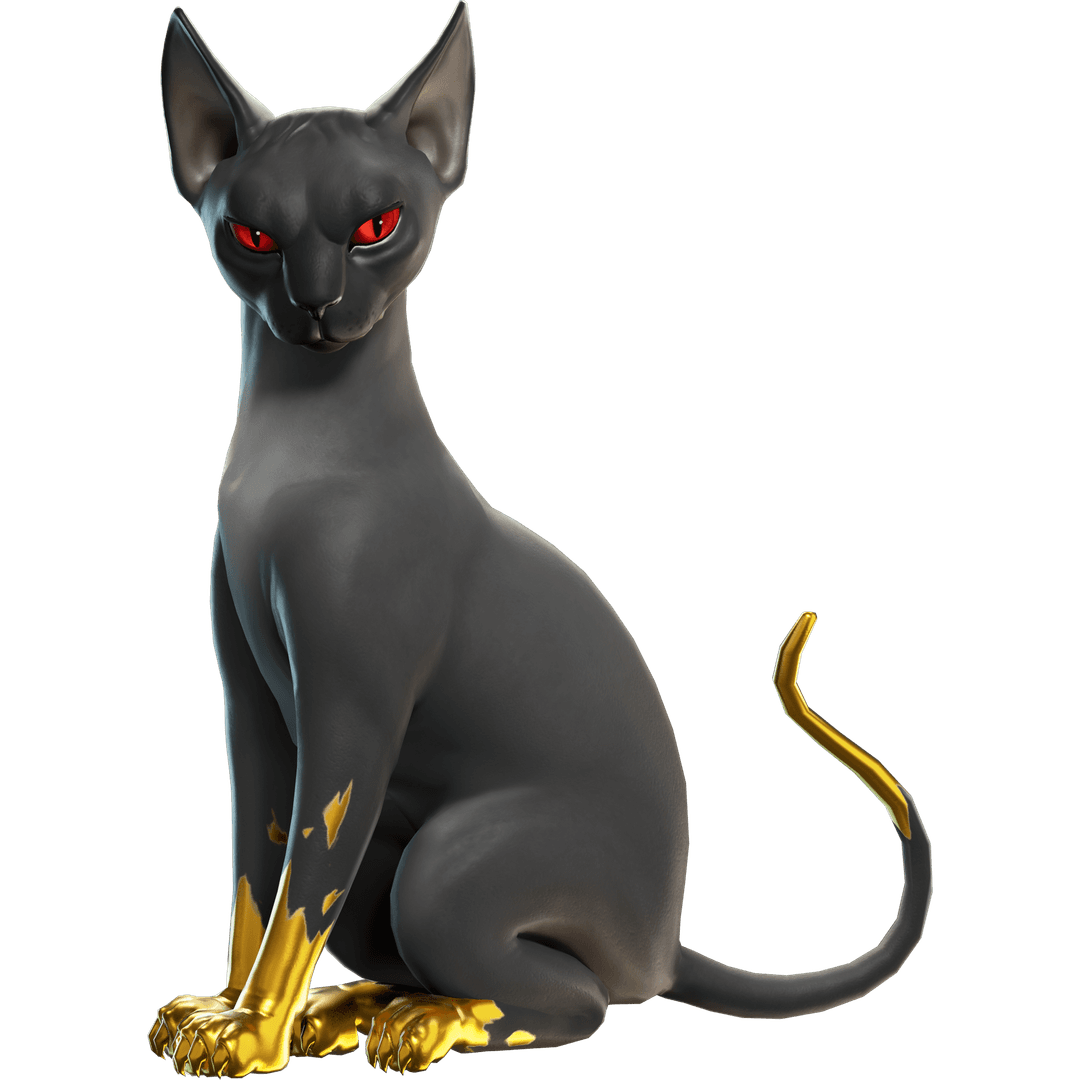 Imagen de Gato de Miaudas