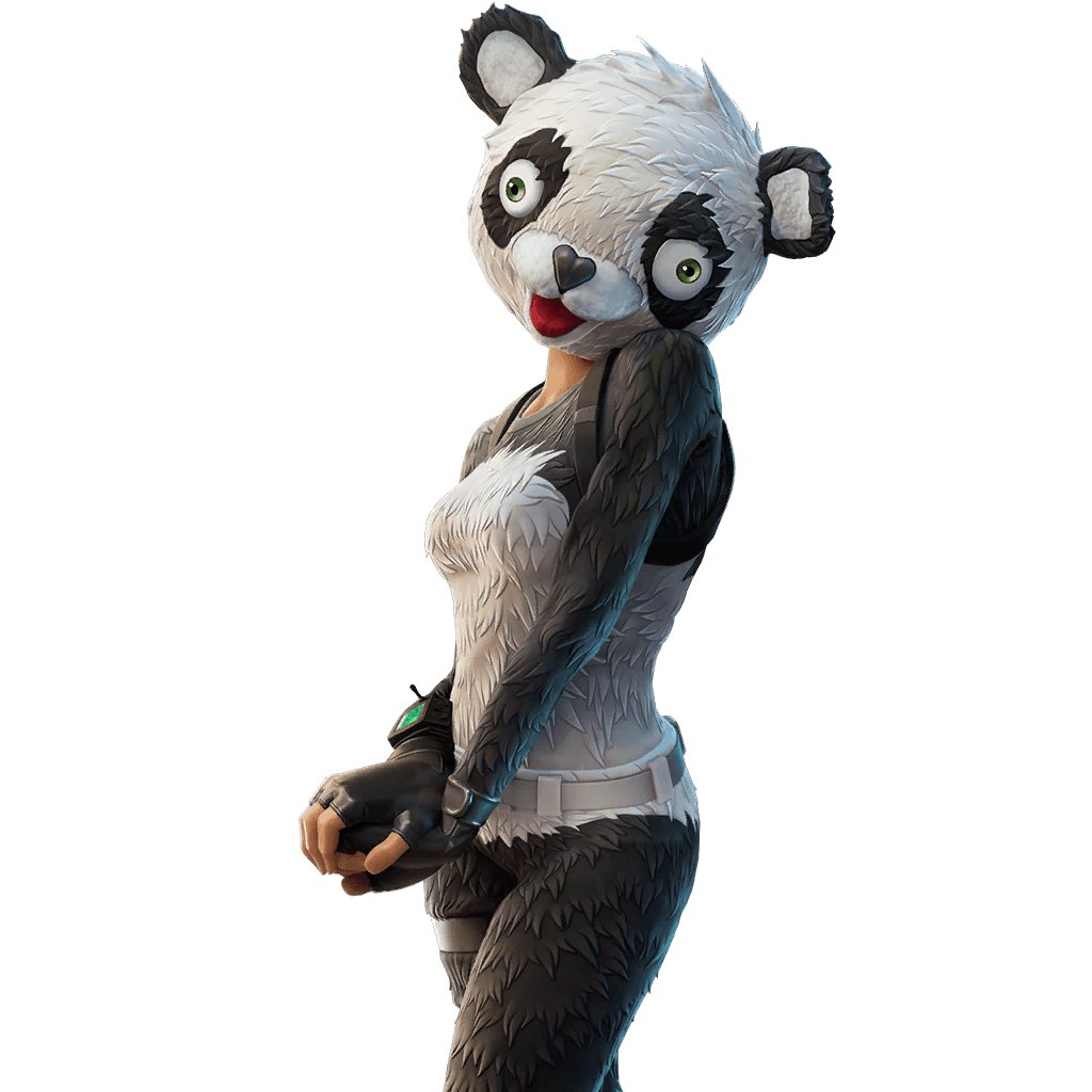 Imagen de Líder del equipo P.A.N.D.A.