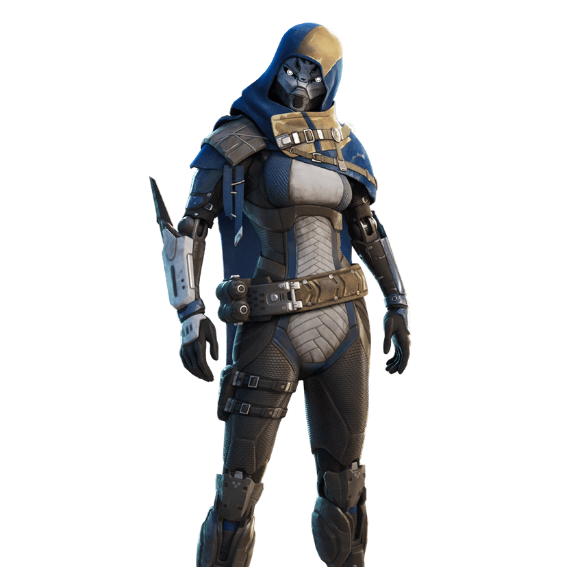 Desconocida exo